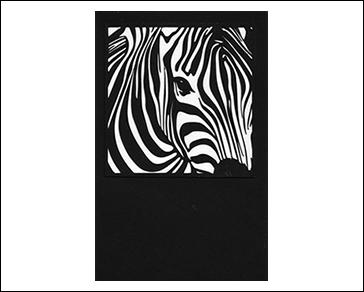 Zebra SVG Files