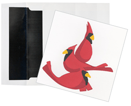 Download Cardinals Svg File